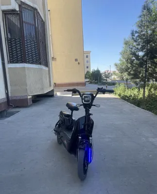 10kun garant beraman 1