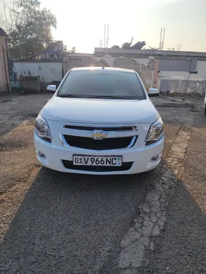 Cobalt автомат Краска тоза 1