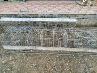 Сетка для кур, 8 ячеек