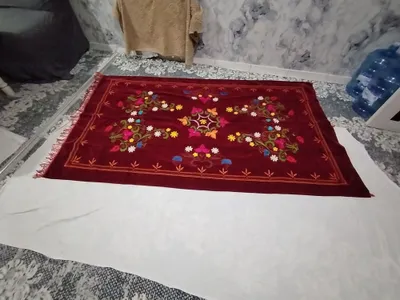 palak holati yaxwi 1