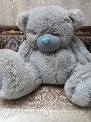 teddi ayiqcha 1
