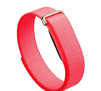 Google Fitbit Air