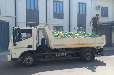 Услуги Isuzu 24/7, вывоз мусора 1