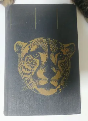Книга Пиппа бросает вызов 1