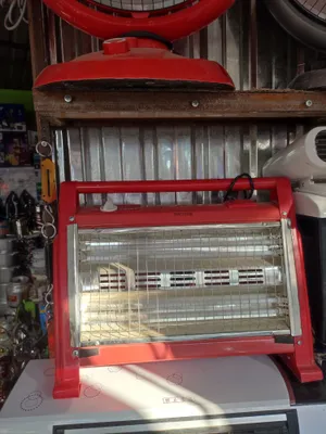 Elektr isitgich
