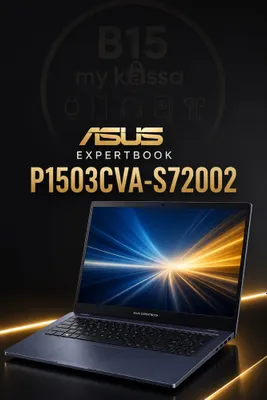 Asus ExpertBook P1503CVA-S73002/ Dastavka