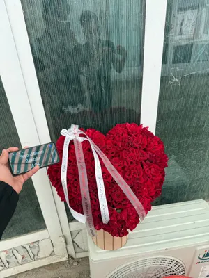 Yurak ♥️