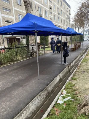 Chodirlar ijarasi, chodirlar prokati, soyabon ijarasi, chodir, soyabon 1