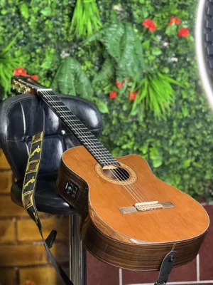 Classic Gitara Ibanez 1