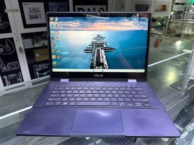 Asus Expertbook 1