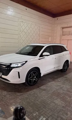 Dongfeng Fengon 1