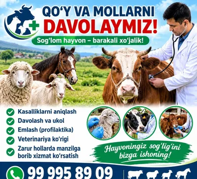 Лечим овец и крупный рогатый скот