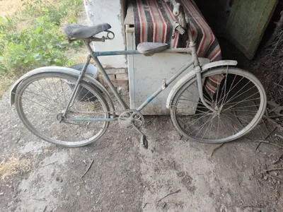 28 velik rasiyiski 1