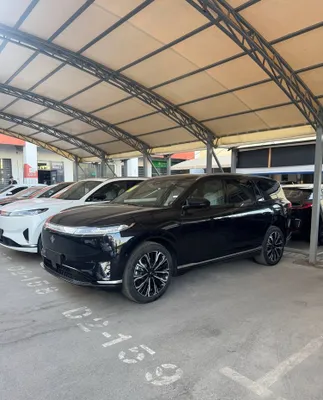 dongfeng 008 elektro 610 km 1