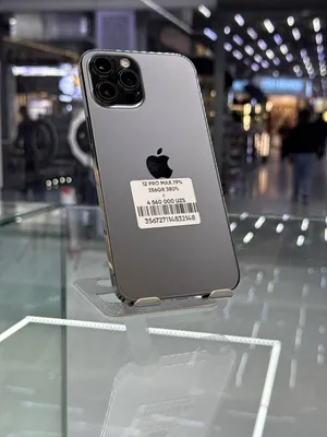 iPhone 12 Pro Max