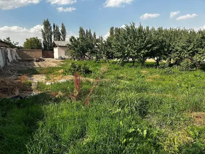 Продаётся земельный участок Дурмень, Аргин, Кибрайский район