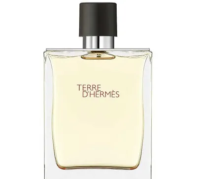 Terre d'Hermès Hermès 100 ml Original 1