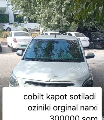 Cobilt kopot oziniki sotiladi 1