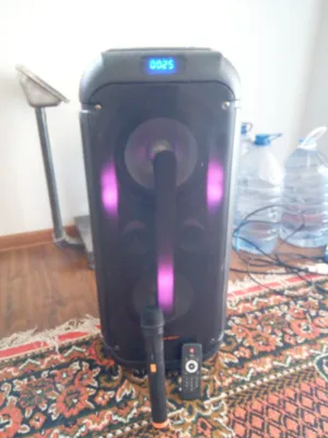 idyall kalonka bas pwalka hamma joyi iwlydi 1