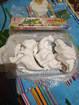 gipsli raskraska 3yoshdan oshgan bolalar uchun
