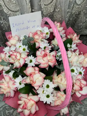 Pushti atirgullardan katta savat 1