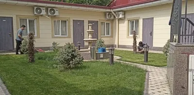 Gazon orish xizmati 1