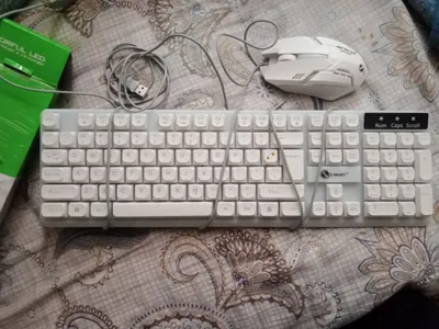 Klaviatura va mishka 1