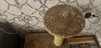 Место для кошки, б/у 1
