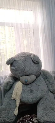 teddy ayiqcha (deyarli odam boʻyi) 1