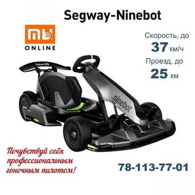 Оргинальный Электрокарт Segway Ninebot Gokart Pro 2 (черный) 1