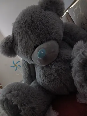 teddy ayiqcha sotiladi