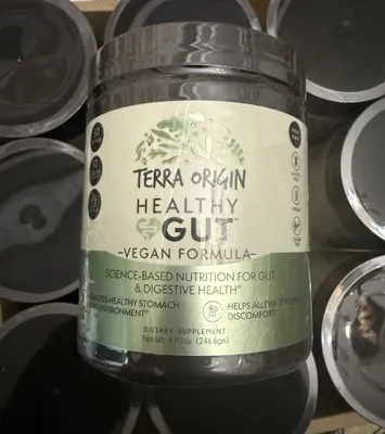TERRA ORIGIN HEALTHY GUT, веганская формула, 246,6 г