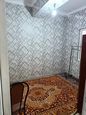 Возьмём студенток для совместной аренды 1