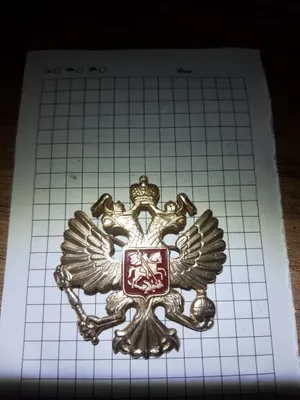 Rossiya kokardasi.