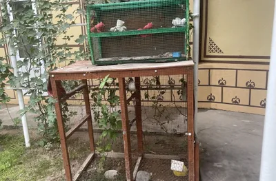 Срочно продаются 2 штуки 1