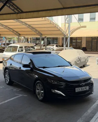 Malibu 2 XL 2023 Kraska 100% Tozza Xolati Ideal Naxt pulga ! 1
