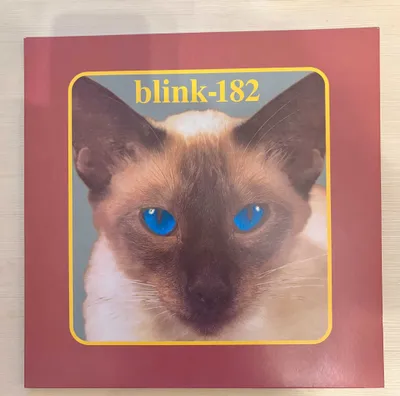 Виниловая пластинка Blink 182 "Cheshire Cat" 1