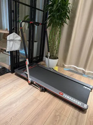 Беговая дорожка Yamaguchi Runway Pro-X 1