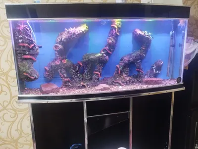 akvarium sotiladi 1