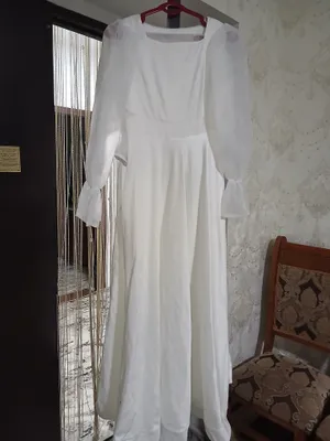 koylak oq yangi 1