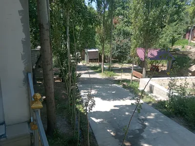 Pervalda uchstka