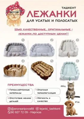 Лежанки для кошек и собак 1