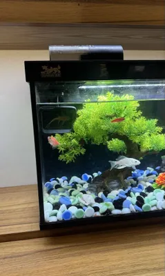 Akvarium 30 litr 1