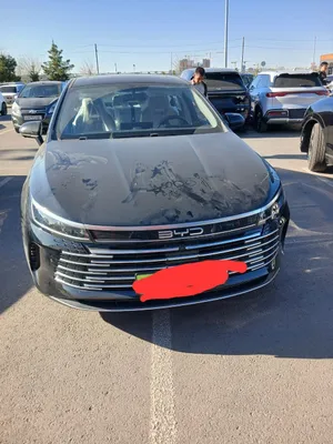 BYD Chazor: 55 км, 110 млн + 193 млн в кредит 1