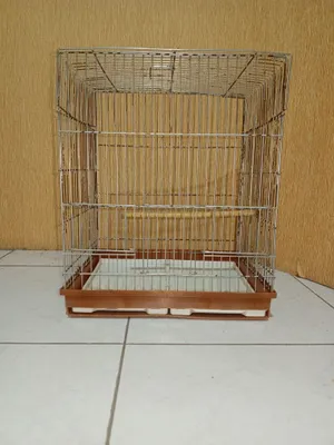 Opam jinsiy aloqa qilishni taklif qildi. Qanday qilib birovning spermasini yalab oldim