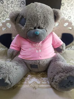 Оригинал новый мишка Teddy