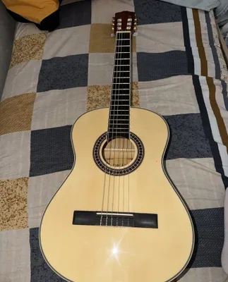 Classical Deviser Guitar 1