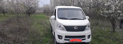 Чанган лабо 2019
