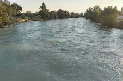 Uy xovli joy sotiladi 7 ta xonadan iborat 1