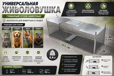 Ловушка клетка для животных
